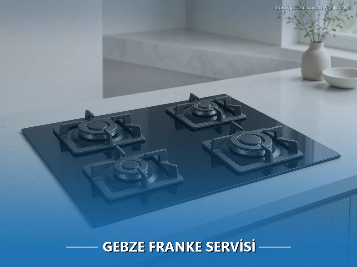 Gebze Franke Servisi